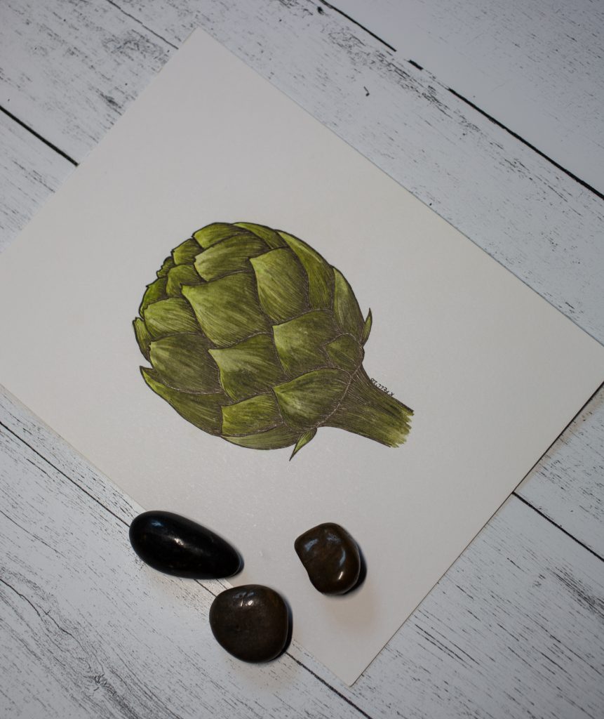 Green, hand colored artichoke drawing on a white shiplap background, with a few black accent stones on the side