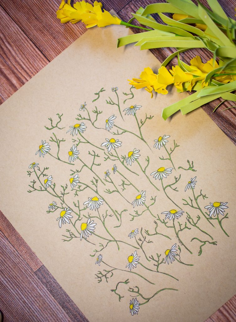 Drawing of chamomile flowers in white, green, and yellow, with an accent yellow flower on a wood panel bakcground.